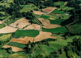 Stunning aerial view of diverse agricultural fields with green and brown patches, illustrating rural land patterns.